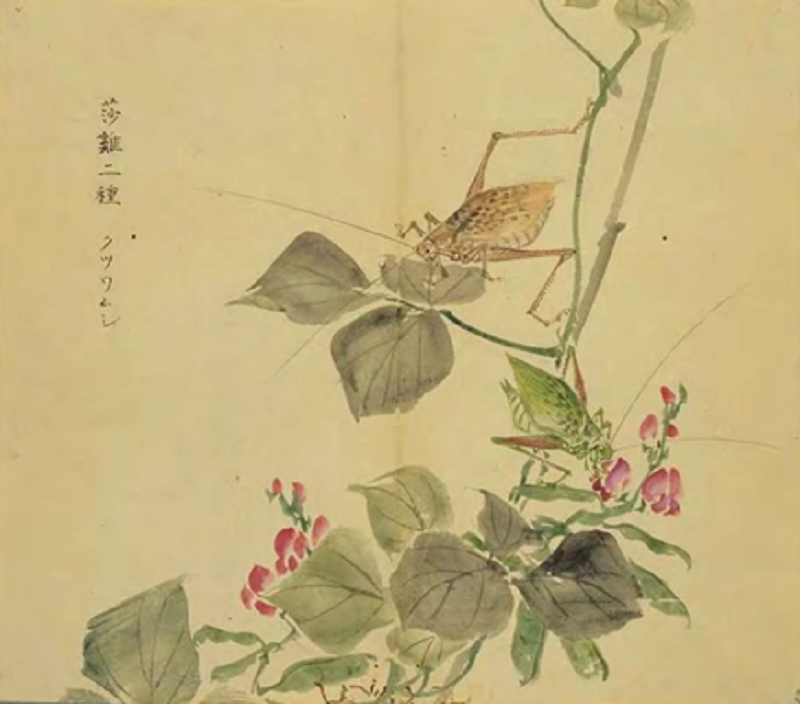 微信图片_20220512201705.png